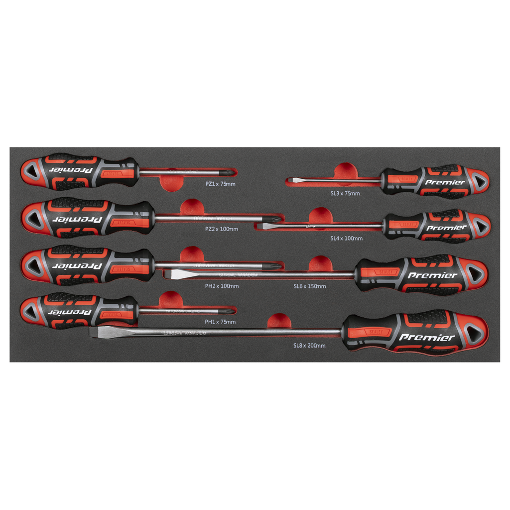 Screwdriver Set with Tool Tray 8pc TBT53