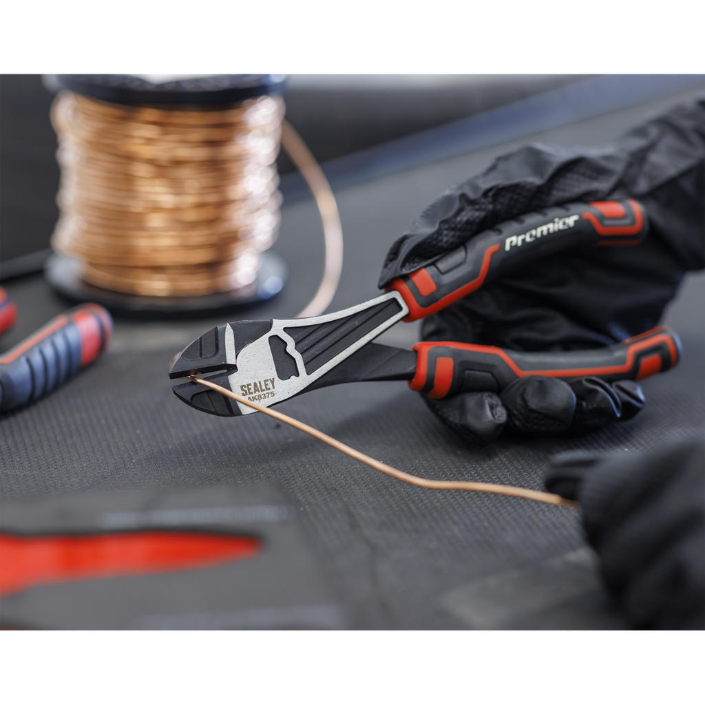 Pliers Set with Tool Tray 4pc TBT56
