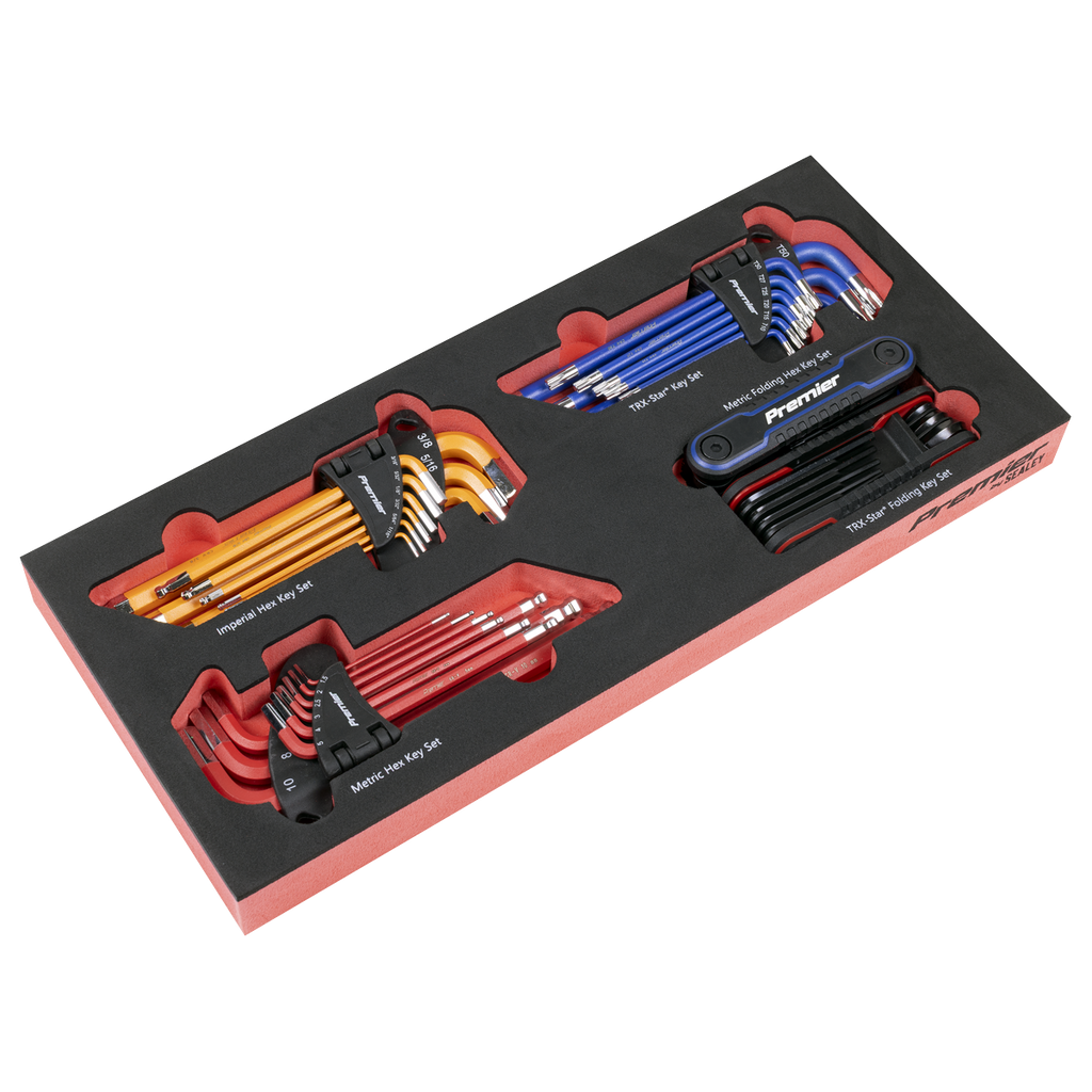 Master Key Set with Tool Tray 43pc TBT62