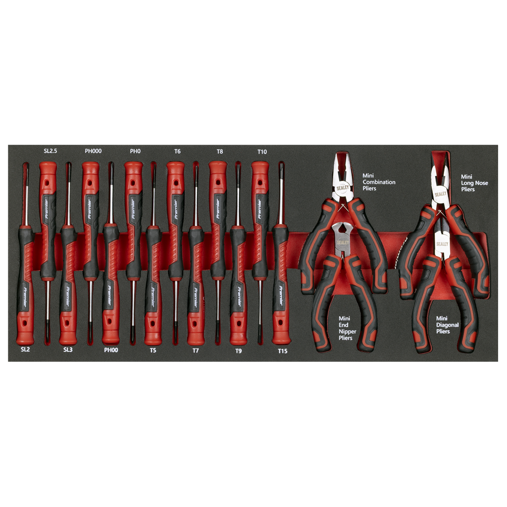 Precision Screwdriver & Mini Pliers Set with Tool Tray 17pc TBT67