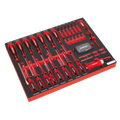Screwdriver Set with Tool Tray 72pc TBTP04