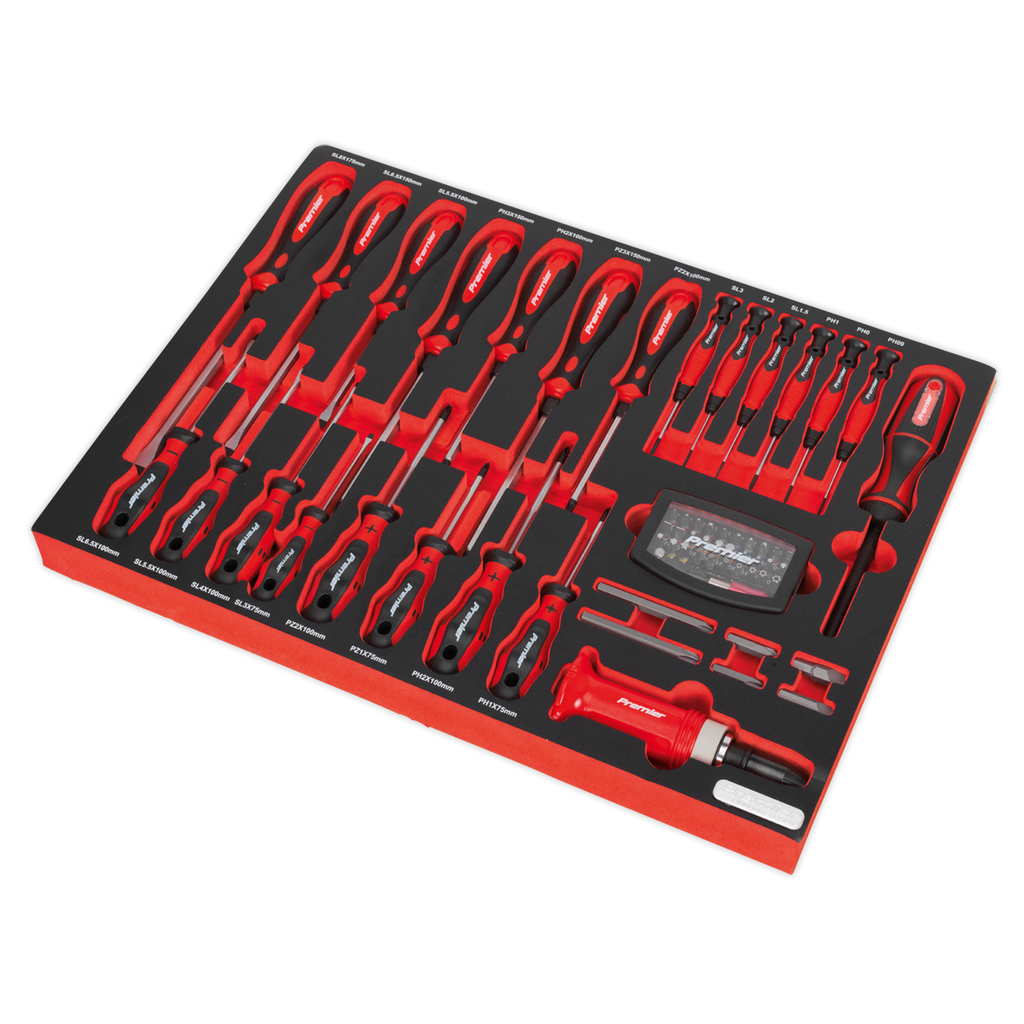 Screwdriver Set with Tool Tray 72pc TBTP04