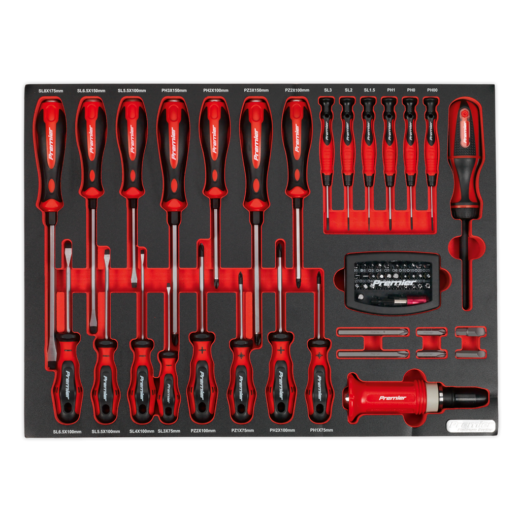 Screwdriver Set with Tool Tray 72pc TBTP04