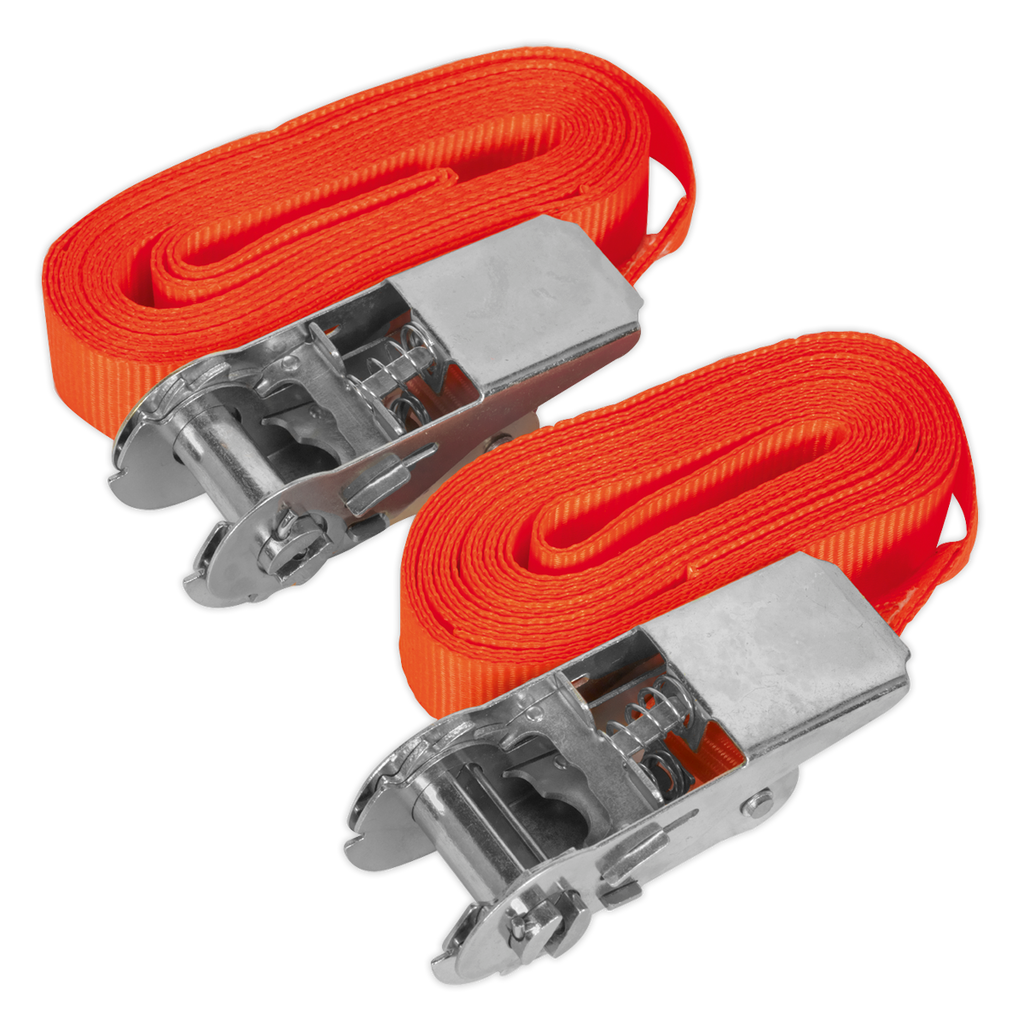 Self-Securing Ratchet Straps 25mm x 4.5m 500kg Breaking Strength - Pair TD05045E