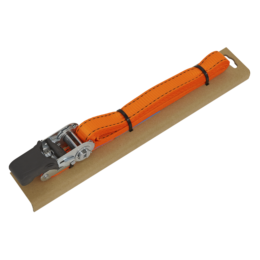 Ratchet Strap Polyester Webbing with Corner Protector 25mm x 5m 600kg Breaking Strength TD0635E