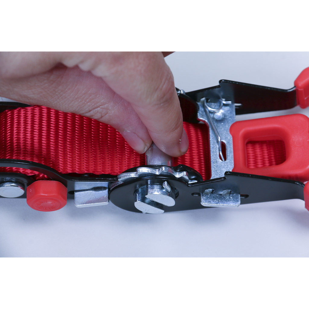 Slide Ratchet Strap Polyester Webbing with S-Hooks 32mm x 3m 1200kg Breaking Strength TD1202SR