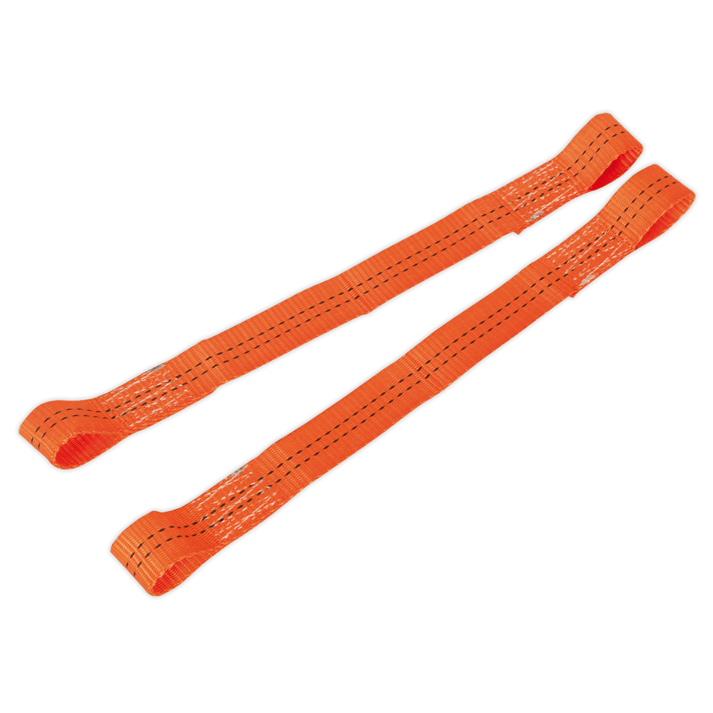 Tie Down Securing Loop - Pair TDL01
