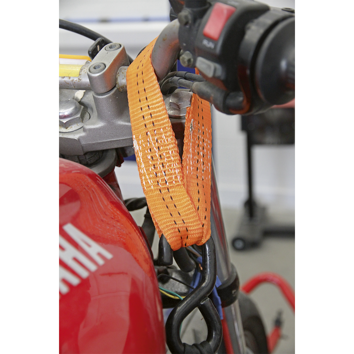 Tie Down Securing Loop - Pair TDL01