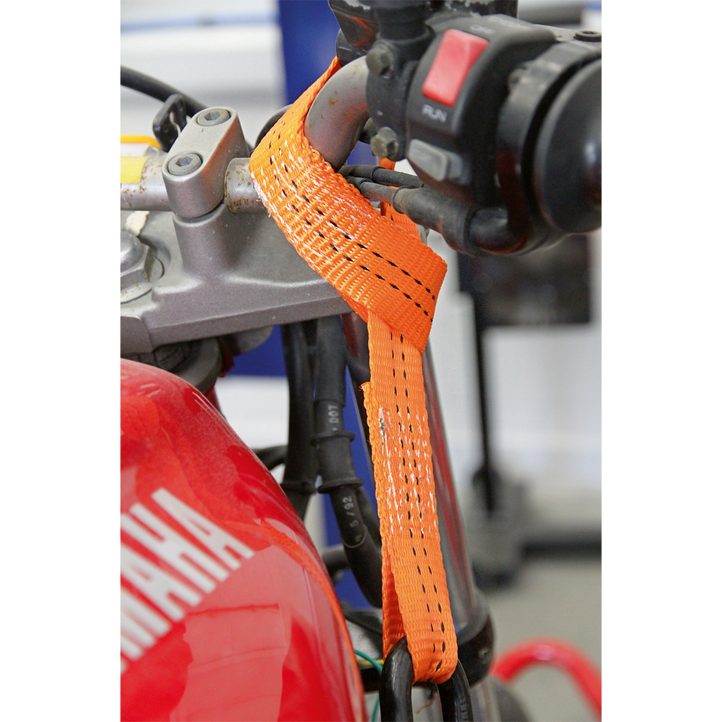 Tie Down Securing Loop - Pair TDL01