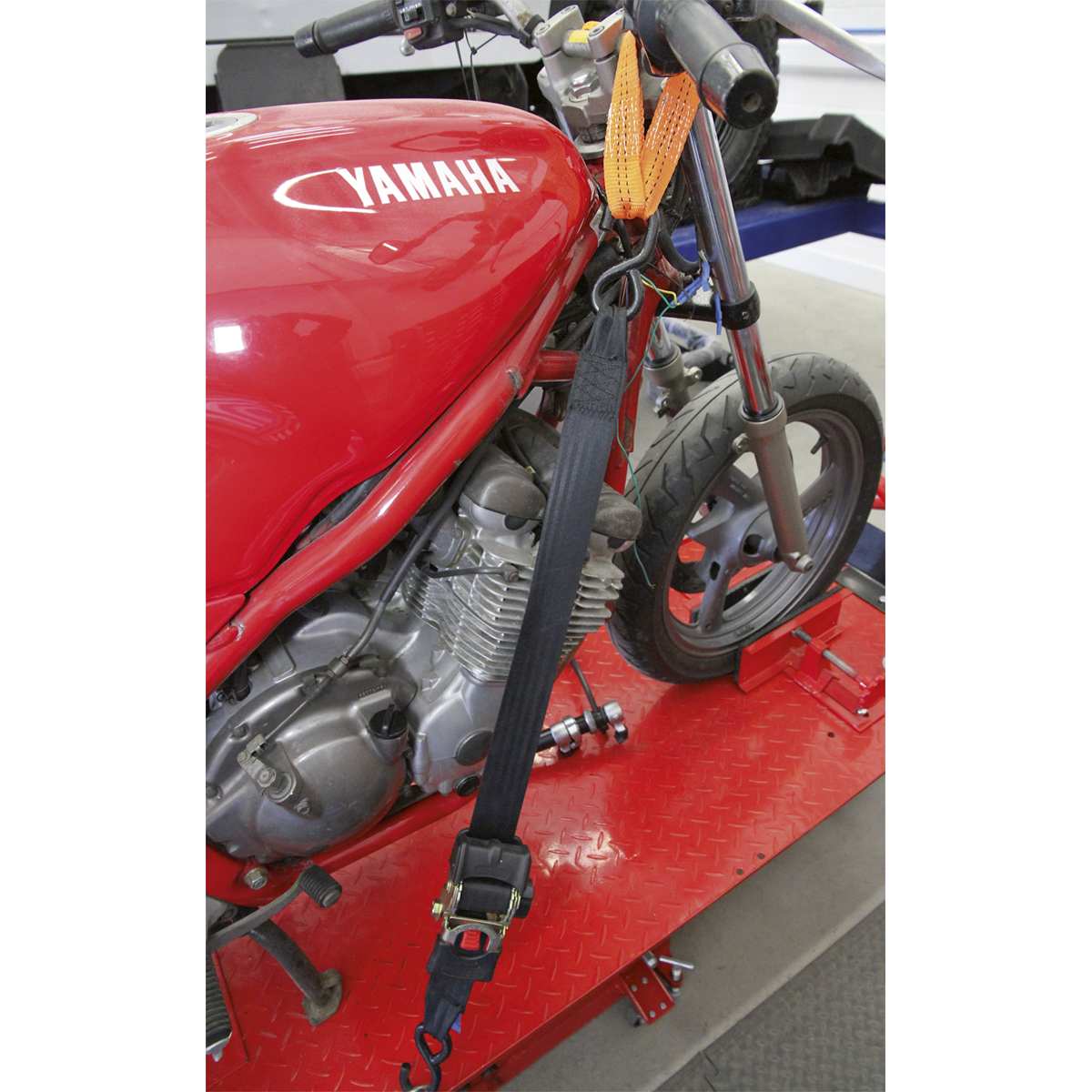 Tie Down Securing Loop - Pair TDL01
