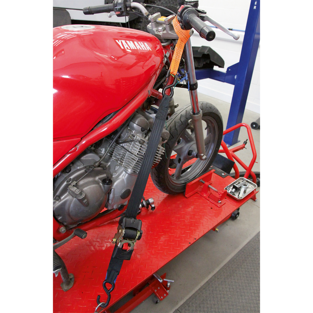 Tie Down Securing Loop - Pair TDL01