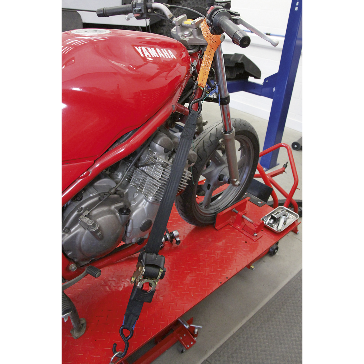 Tie Down Securing Loop - Pair TDL01