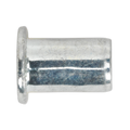 Regular Threaded Insert (Rivet Nut) M10 - Pack of 50 TIRM10