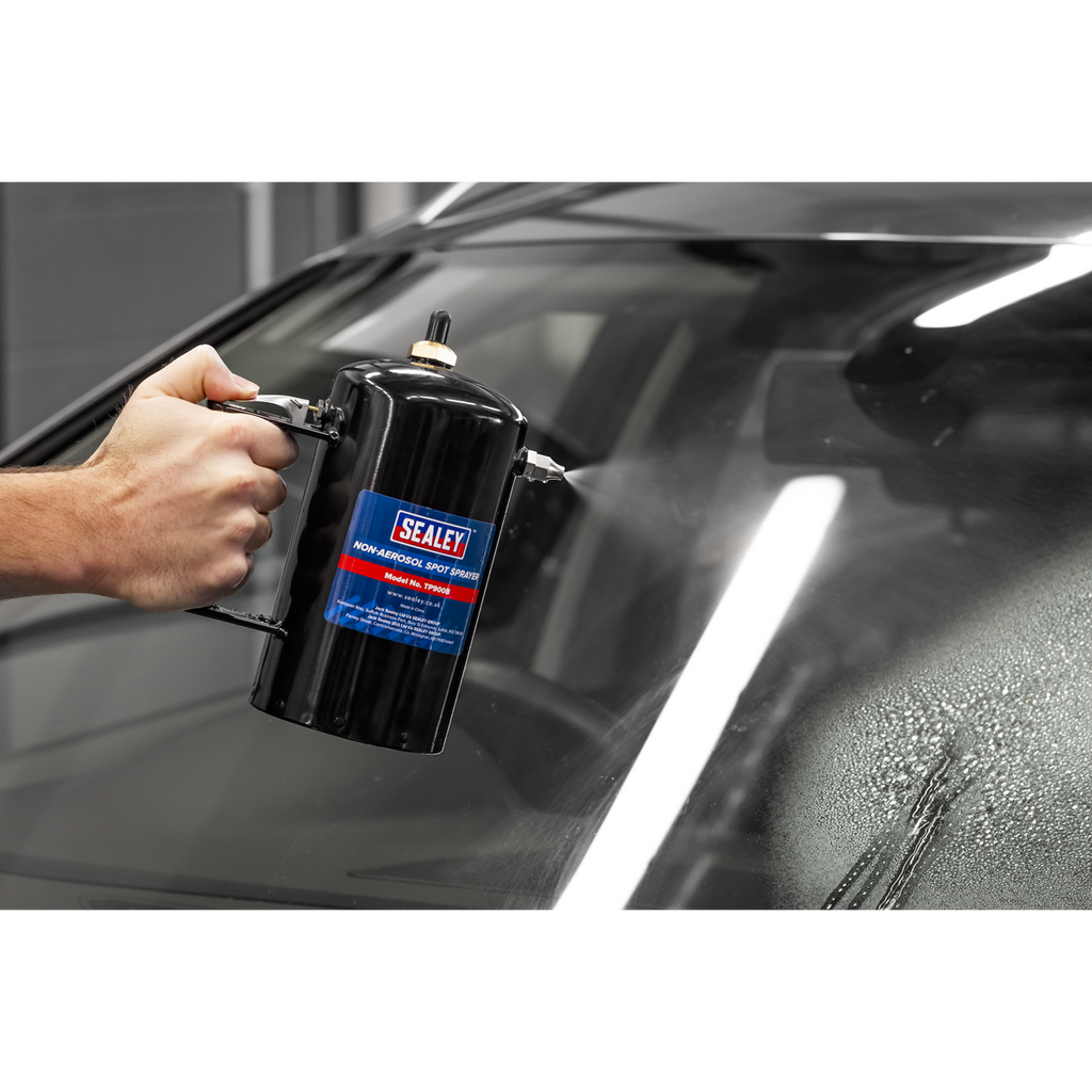 Non-Aerosol Spot Sprayer Black TP900B