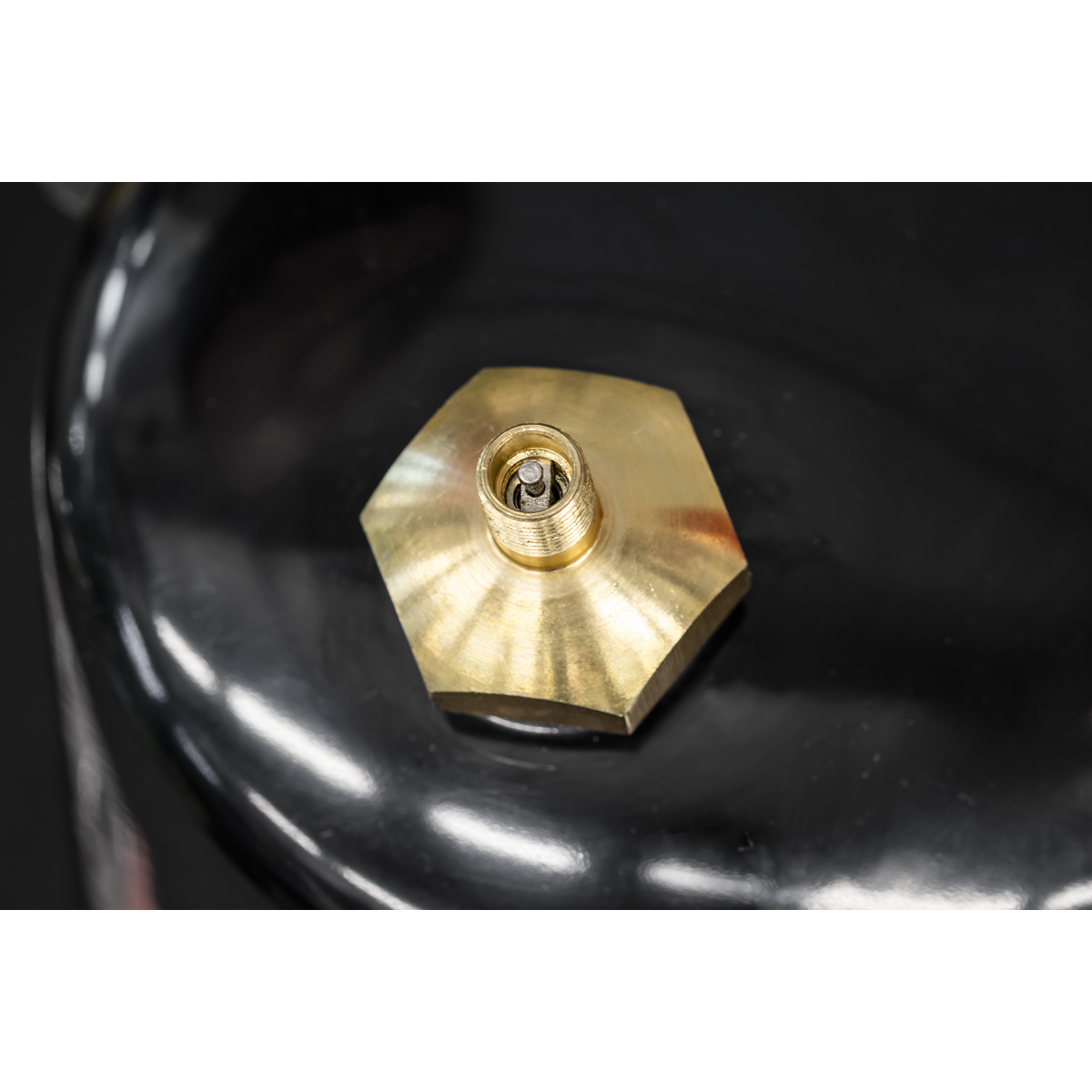 Non-Aerosol Spot Sprayer Black TP900B