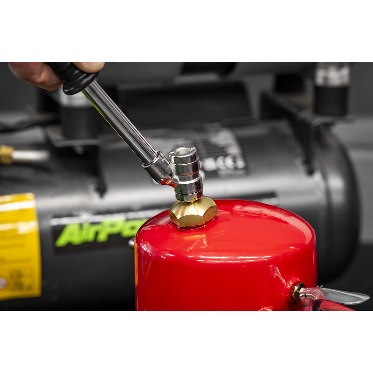 Non-Aerosol Spot Sprayer - Red TP900R