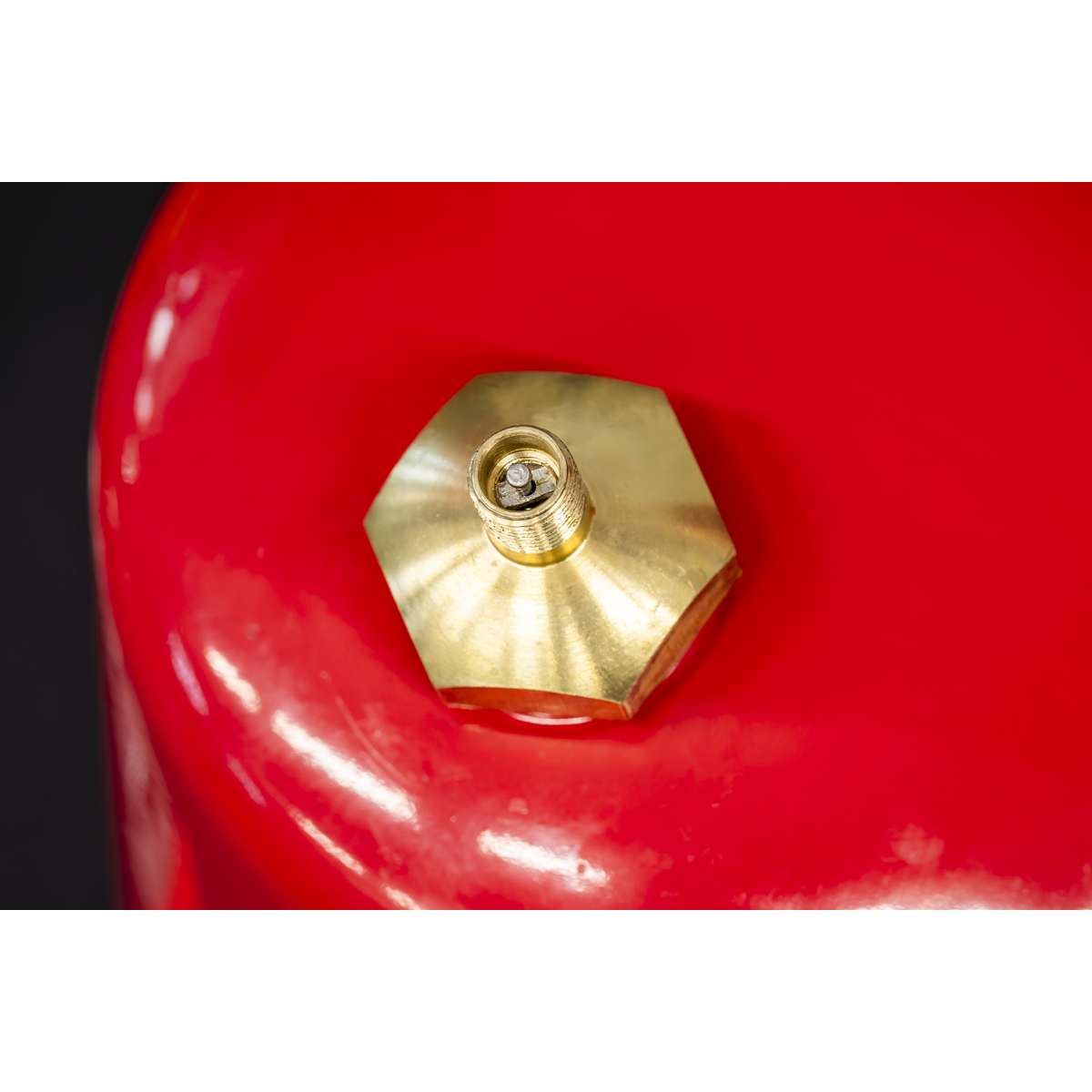 Non-Aerosol Spot Sprayer - Red TP900R