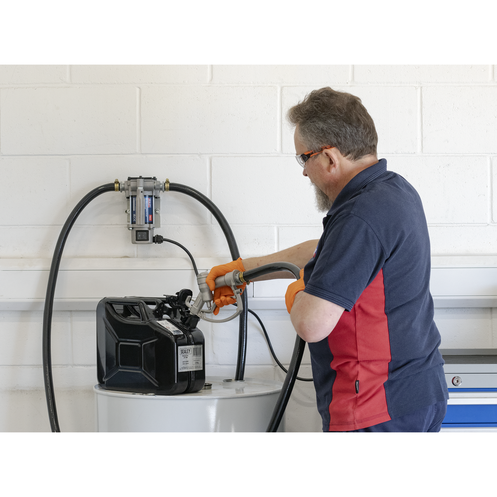 Portable Diesel/Fluid Transfer Pump 24V TP9624