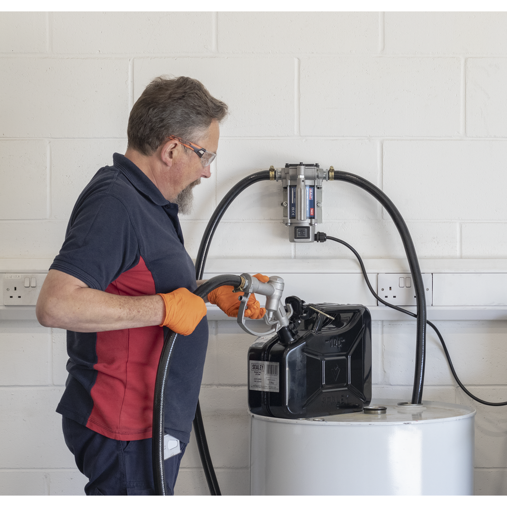 Portable Diesel/Fluid Transfer Pump 24V TP9624