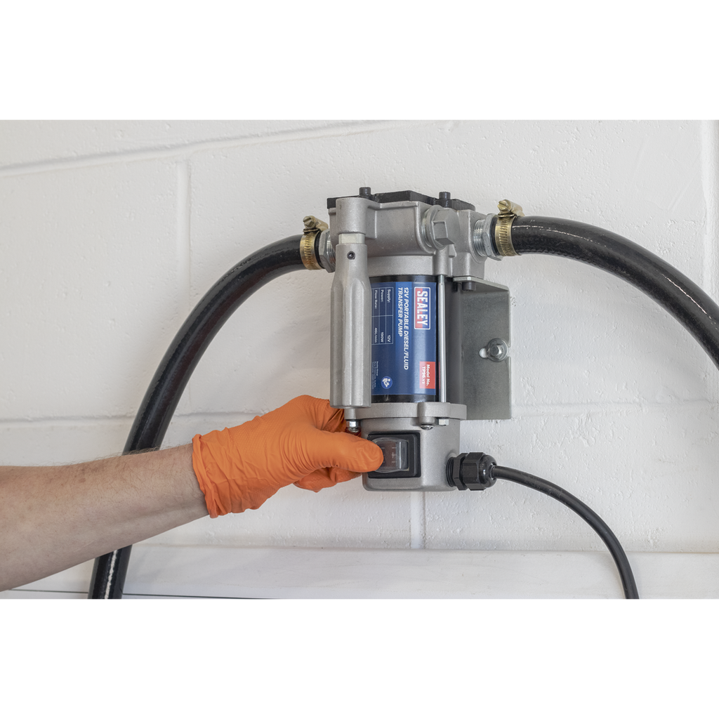 Portable Diesel/Fluid Transfer Pump 24V TP9624