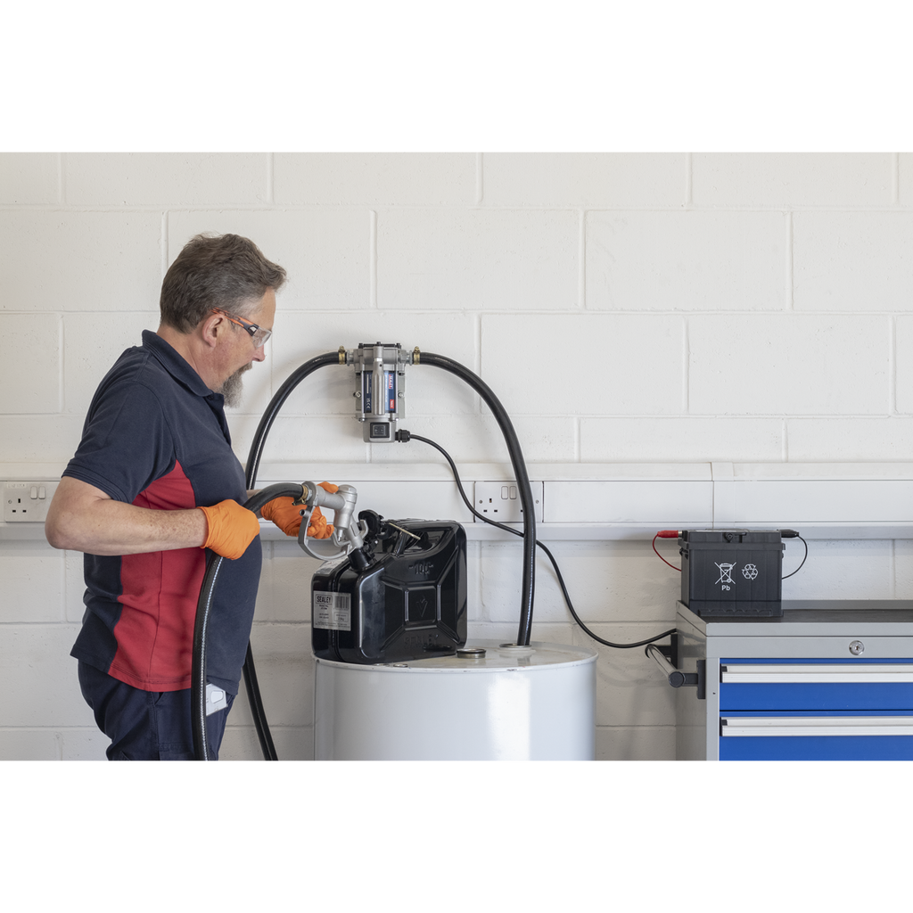 Portable Diesel/Fluid Transfer Pump 12V TP96