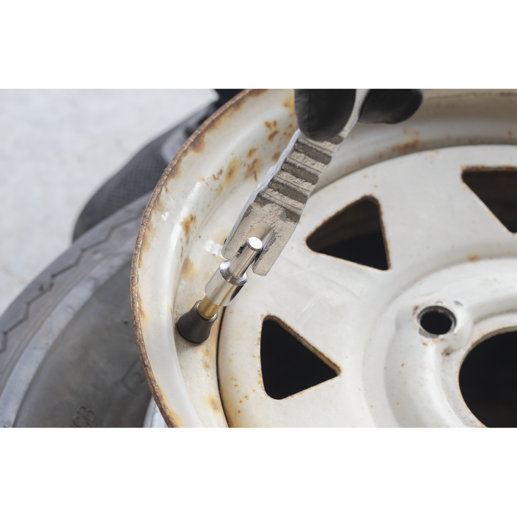 Tyre Valve Installer TST/TVI