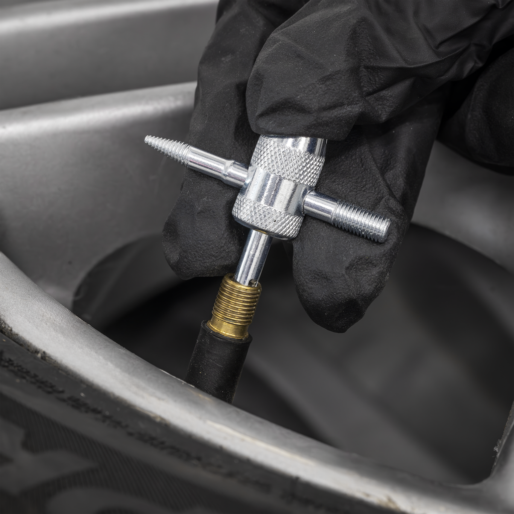Tyre Valve Service Tool TST/VT