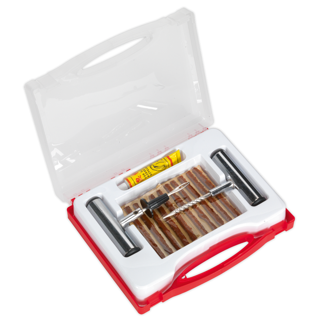Temporary Puncture Repair Kit TST10