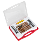 Temporary Puncture Repair Kit TST10
