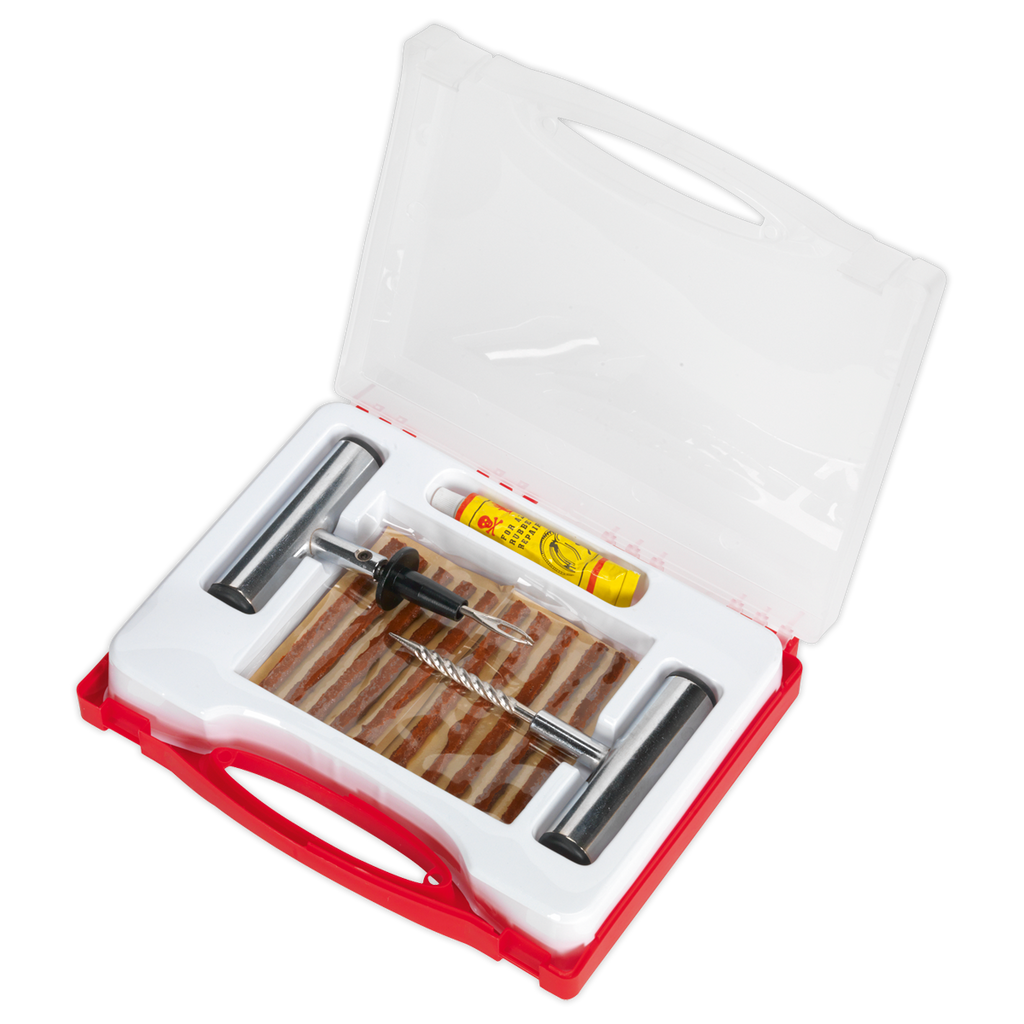 Temporary Puncture Repair Kit TST10