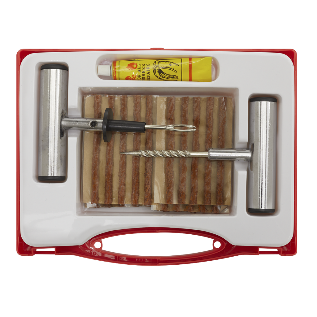 Temporary Puncture Repair Kit TST10