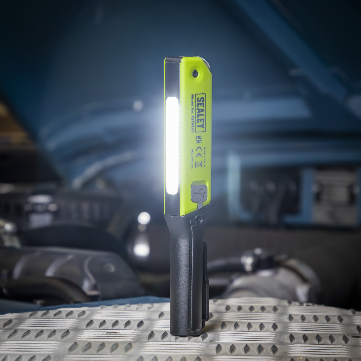 2-in-1 Tyre Pressure Gauge & Pen Light TSTPL01