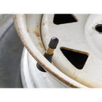 Snap-in Tubeless Tyre Valve, Type TR413 - Pack of 100 TV413
