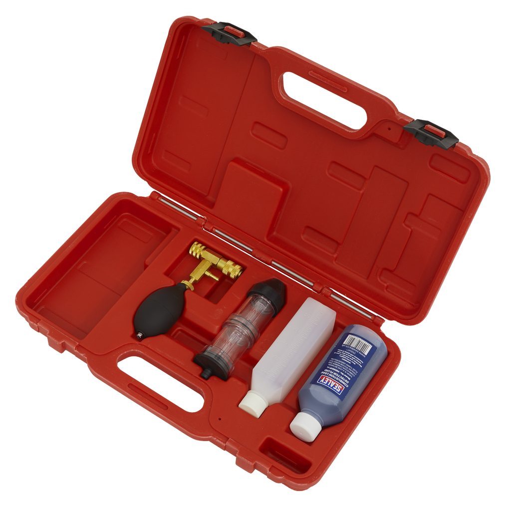 Combustion Leak Detector VS0061