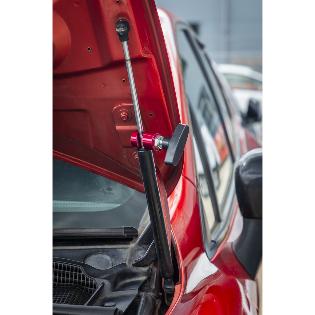 Bonnet Strut Clamp VS0149