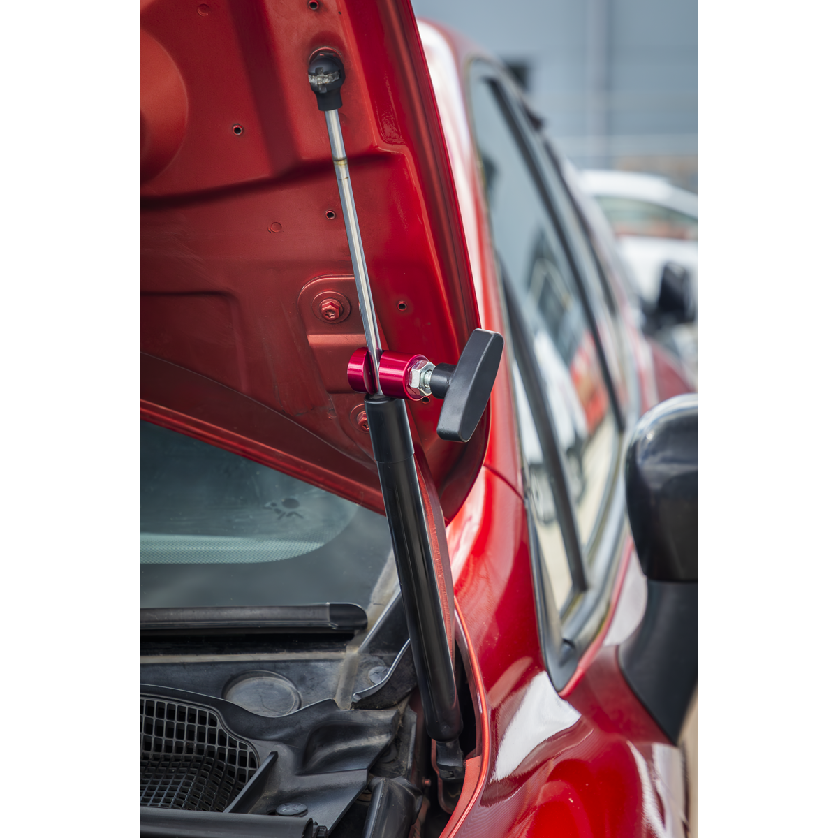 Bonnet Strut Clamp VS0149