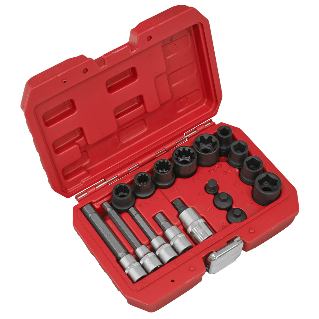 Brake Caliper Socket Set 17pc VS0465