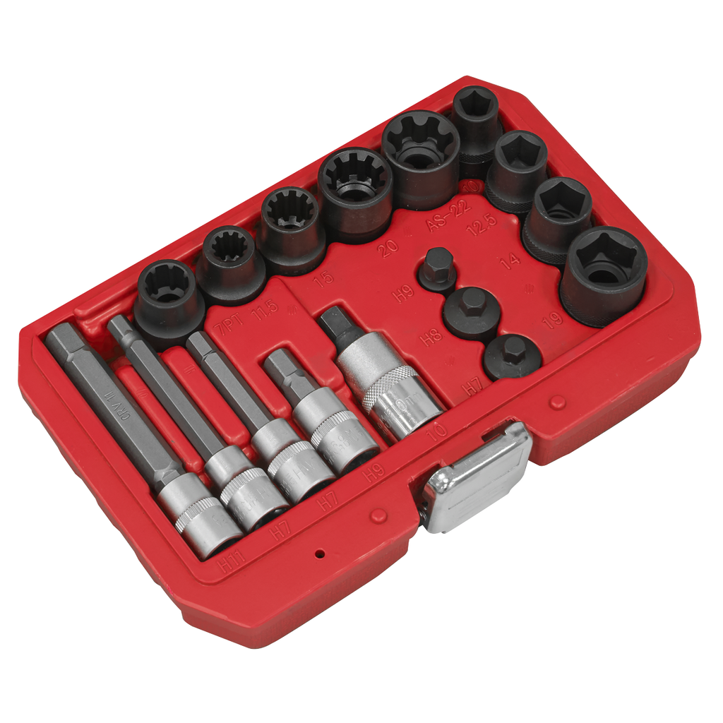 Brake Caliper Socket Set 17pc VS0465