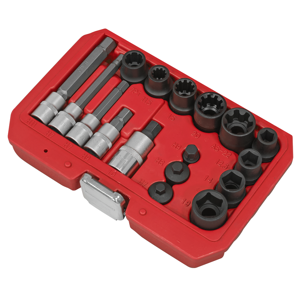 Brake Caliper Socket Set 17pc VS0465