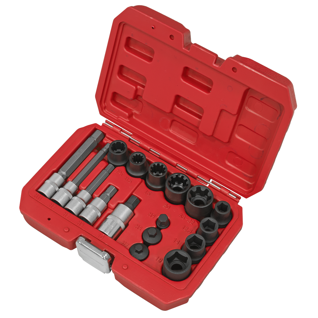 Brake Caliper Socket Set 17pc VS0465