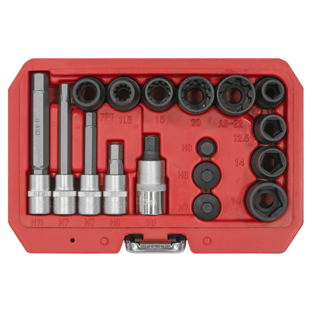 Brake Caliper Socket Set 17pc VS0465