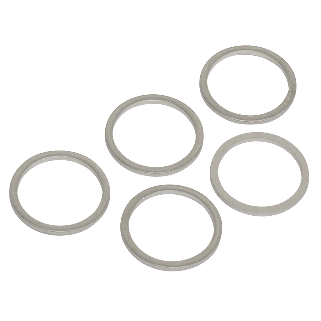 Sump Plug Washer M17 - Pack of 5 VS17SPW