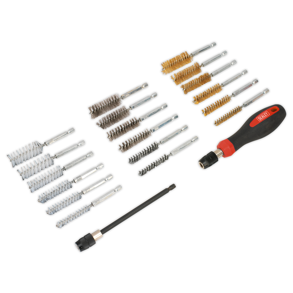 Cleaning & Decarbonising Brush Set 20pc VS1800
