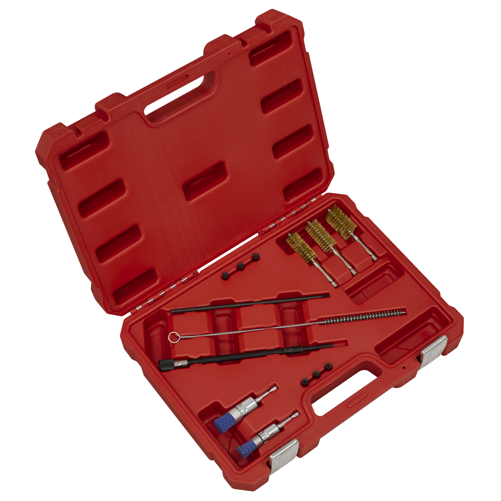 Injector Bore Cleaning Brush Set 14pc VS1900