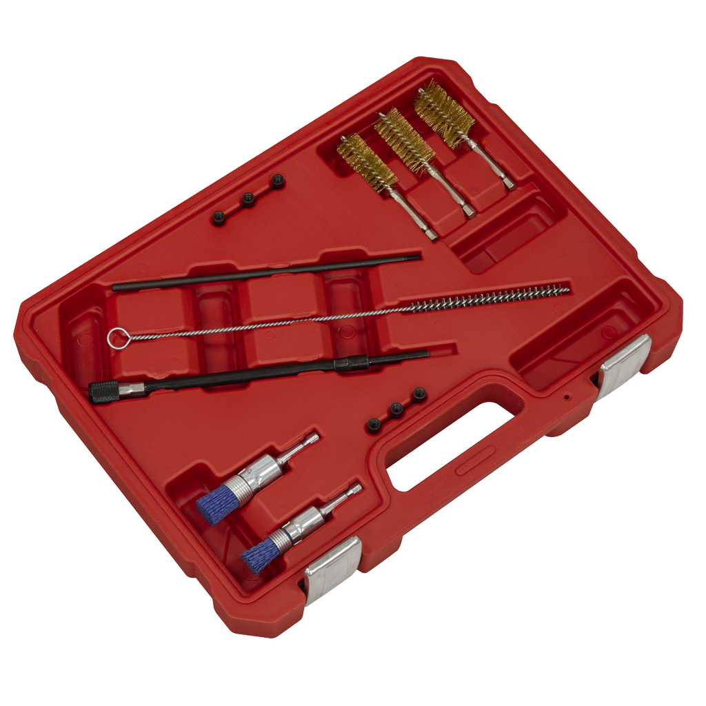 Injector Bore Cleaning Brush Set 14pc VS1900