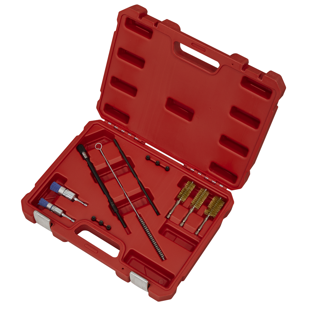 Injector Bore Cleaning Brush Set 14pc VS1900