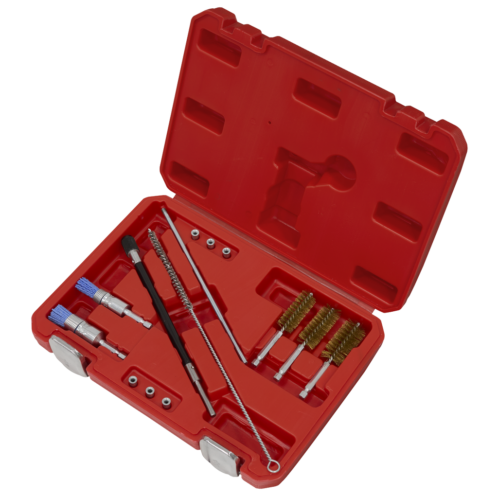 Injector Bore Cleaning Brush Set 14pc VS1900