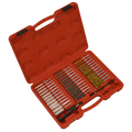 Injector Bore Cleaning Brush Set 38pc VS1910