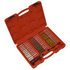 Injector Bore Cleaning Brush Set 38pc VS1910