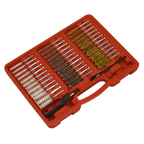 Injector Bore Cleaning Brush Set 38pc VS1910